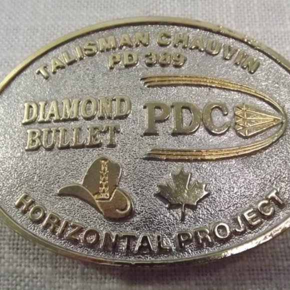 Diamond Bullet PDC Silver with Gold Belt Buckle - Picture 1 of 5